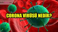 Korona Virüsü Hakkında Her Şey